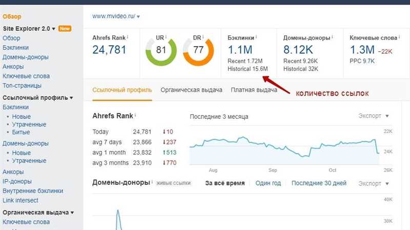 Инструменты для проверки ссылочной массы сайта